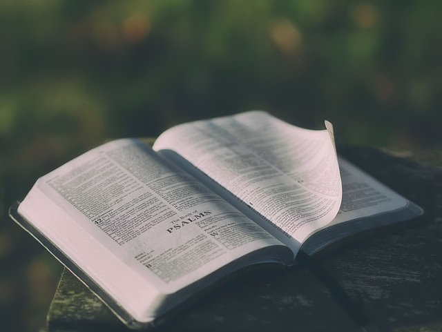 MasonSoft Theology